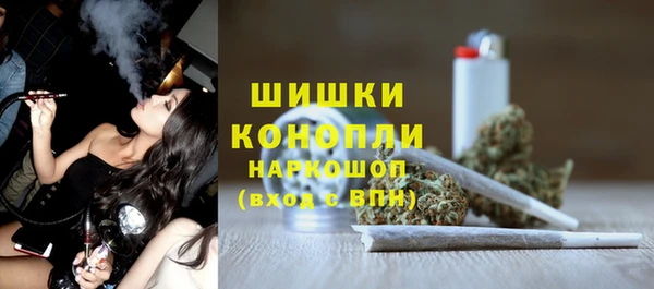 spice Новозыбков