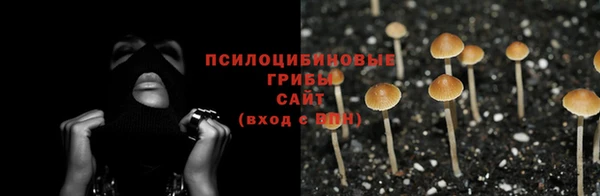 дмт Бежецк