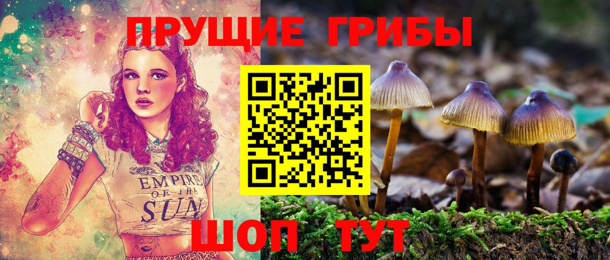 Псилоцибиновые грибы MAGIC MUSHROOMS Родники