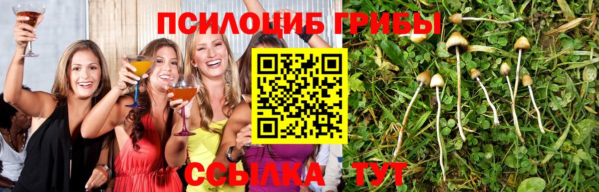 Галлюциногенные грибы ЛСД  наркотики  Родники 