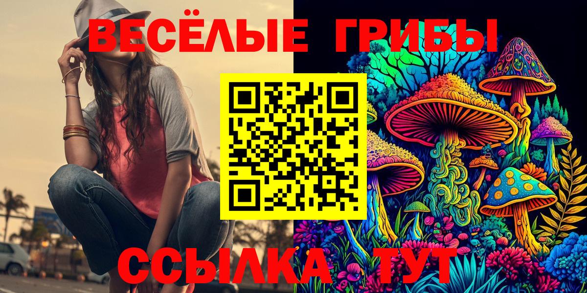 Галлюциногенные грибы Psilocybine cubensis  Вход с VPN  Родники  Галлюциногенные грибы Cubensis 
