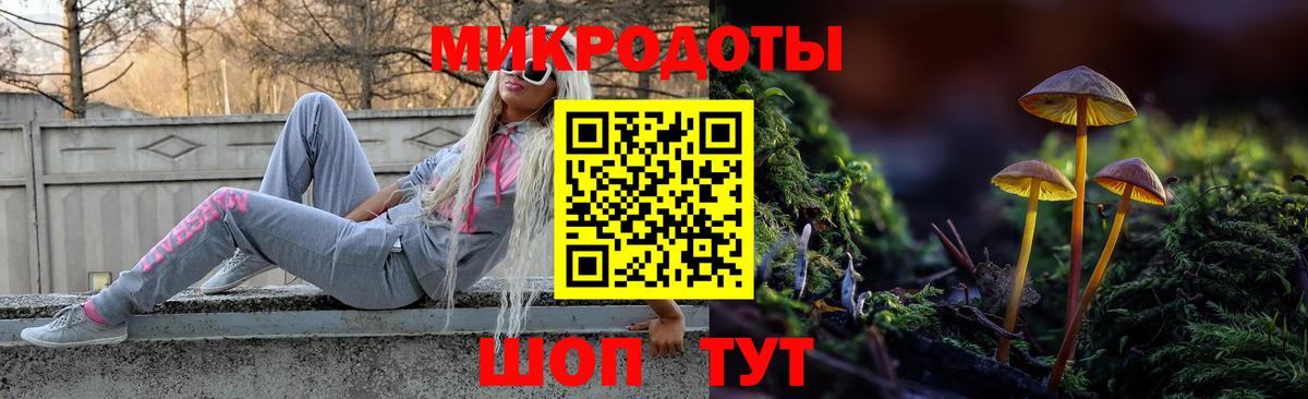 Галлюциногенные грибы ЛСД Родники